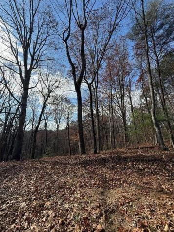 0 Orchard Road Jasper GA 30143