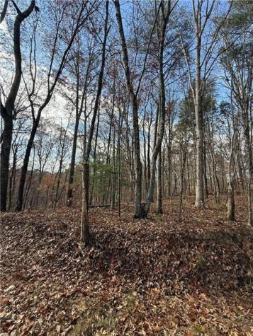0 Orchard Road Jasper GA 30143