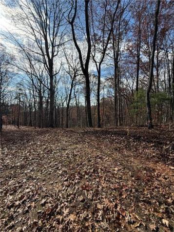0 Orchard Road Jasper GA 30143