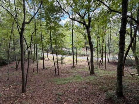 133 Seneca Drive Ellijay GA 30540