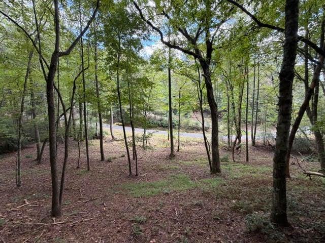 133 Seneca Drive Ellijay GA 30540