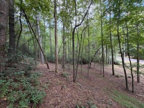 133 Seneca Drive Ellijay GA 30540