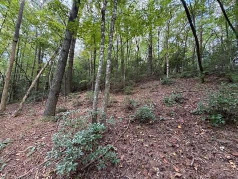 133 Seneca Drive Ellijay GA 30540
