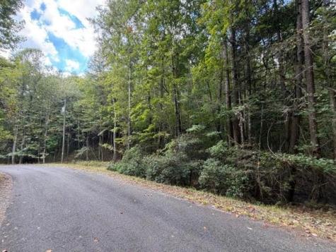 133 Seneca Drive Ellijay GA 30540