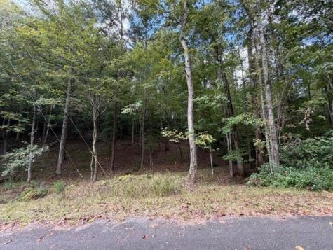 133 Seneca Drive Ellijay GA 30540