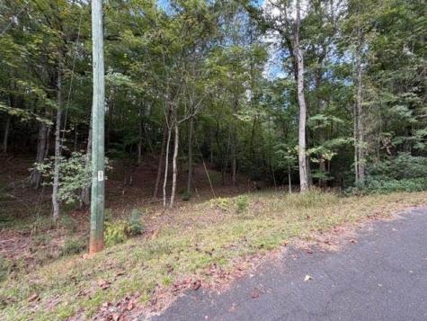 133 Seneca Drive Ellijay GA 30540