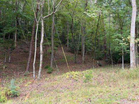 133 Seneca Drive Ellijay GA 30540
