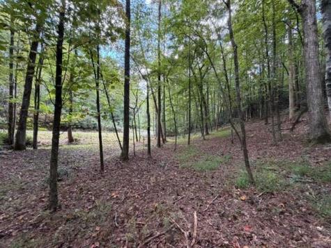 133 Seneca Drive Ellijay GA 30540