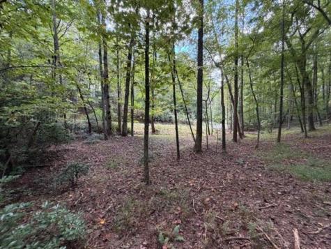 133 Seneca Drive Ellijay GA 30540