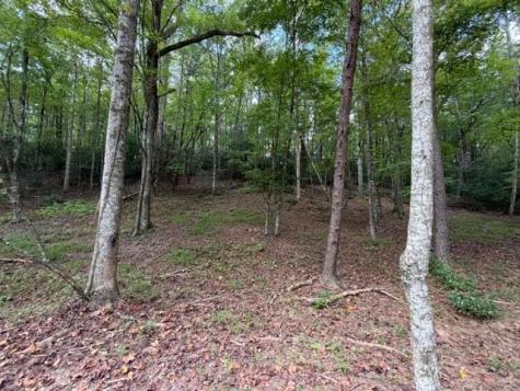 133 Seneca Drive Ellijay GA 30540