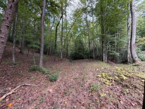 133 Seneca Drive Ellijay GA 30540