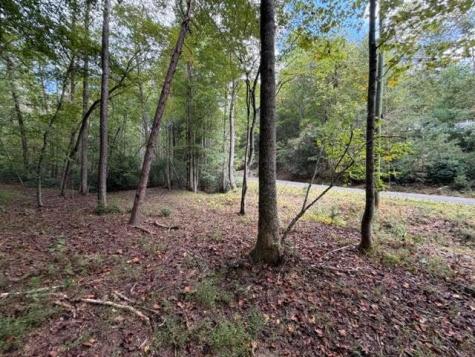 133 Seneca Drive Ellijay GA 30540