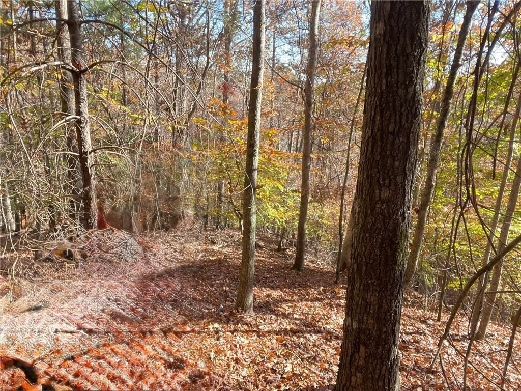 0 Hyalite Road W Dahlonega GA 30533