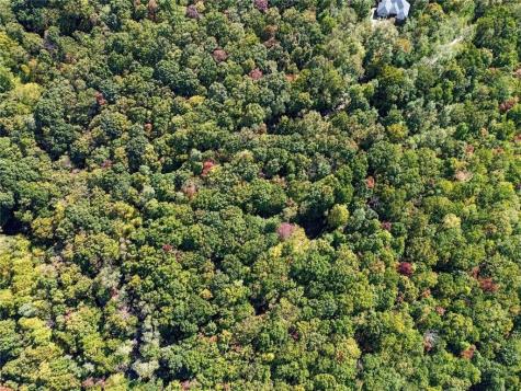 11 Indian Trail Drive Jasper GA 30143