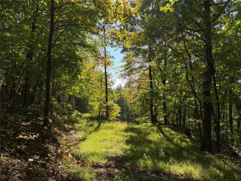 11 Indian Trail Drive Jasper GA 30143