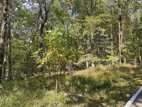11 Indian Trail Drive Jasper GA 30143