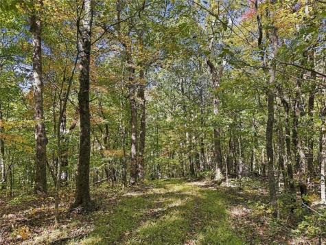 11 Indian Trail Drive Jasper GA 30143