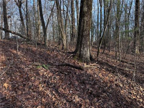 32 Andes Ridge Jasper GA 30143