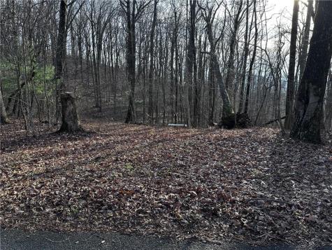 32 Andes Ridge Jasper GA 30143
