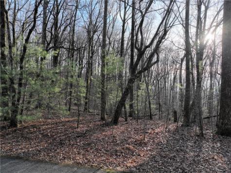 32 Andes Ridge Jasper GA 30143