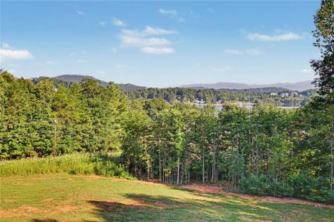 1306 Ramey Mtn Road Hiawassee GA 30546