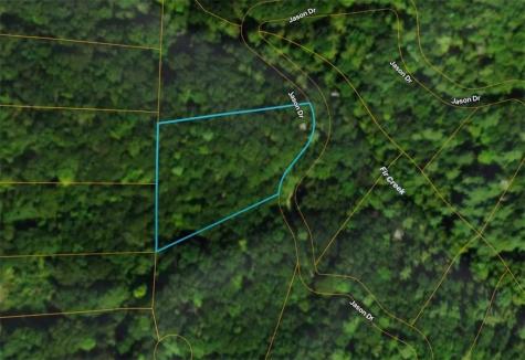 LOT206 Dowel Circle Ellijay GA 30540