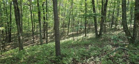 0 Firetower Road Jasper GA 30143
