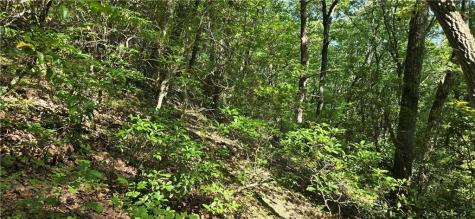 0 Firetower Road Jasper GA 30143