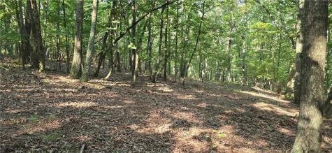 0 Firetower Road Jasper GA 30143