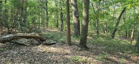 0 Firetower Road Jasper GA 30143