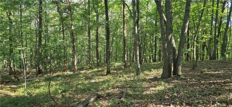 0 Firetower Road Jasper GA 30143