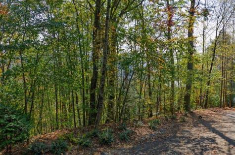 Lot 81 Lillie Drive Ellijay GA 30540
