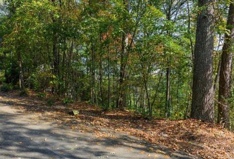 Lot 81 Lillie Drive Ellijay GA 30540