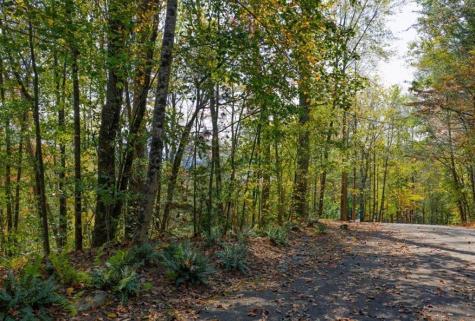 Lot 81 Lillie Drive Ellijay GA 30540