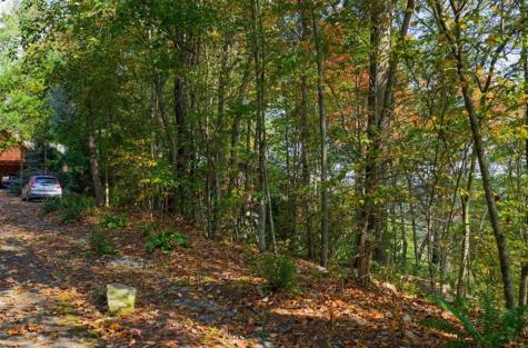 Lot 81 Lillie Drive Ellijay GA 30540