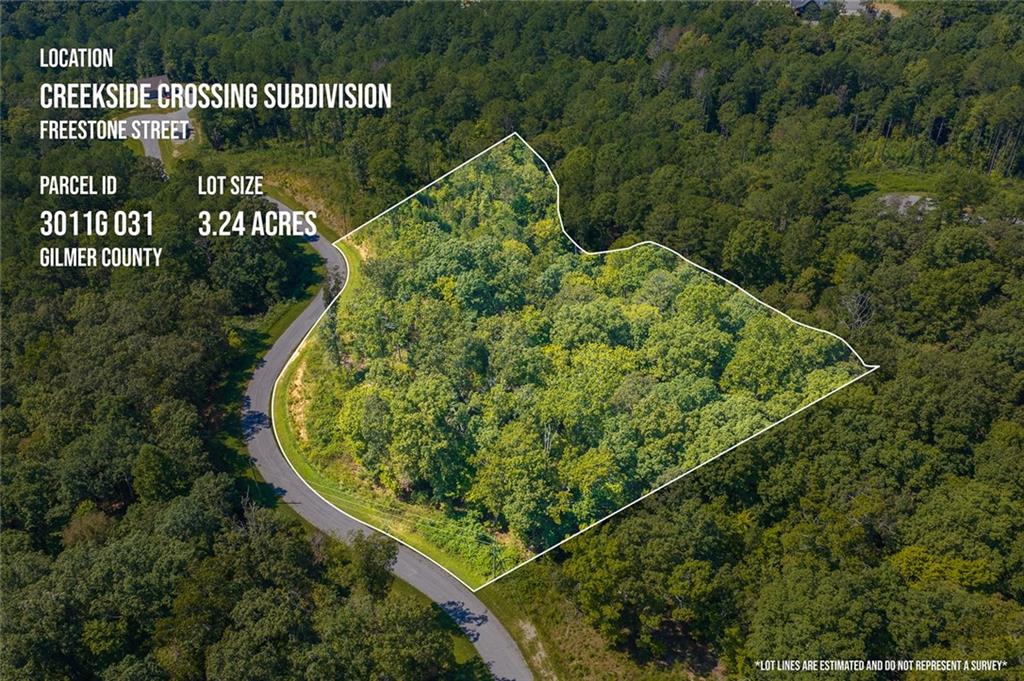 Lot 31 Freestone Street Talking Rock GA 30175