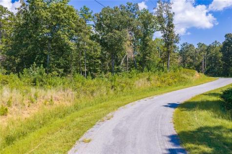 Lot 31 Freestone Street Talking Rock GA 30175
