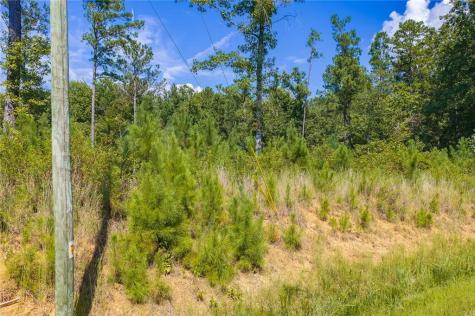 Lot 31 Freestone Street Talking Rock GA 30175