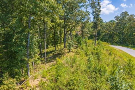 Lot 31 Freestone Street Talking Rock GA 30175
