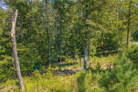 Lot 31 Freestone Street Talking Rock GA 30175