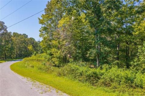 Lot 31 Freestone Street Talking Rock GA 30175