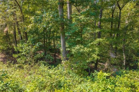 Lot 31 Freestone Street Talking Rock GA 30175