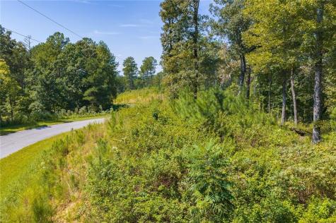Lot 31 Freestone Street Talking Rock GA 30175