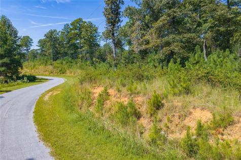 Lot 31 Freestone Street Talking Rock GA 30175