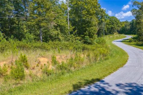 Lot 31 Freestone Street Talking Rock GA 30175