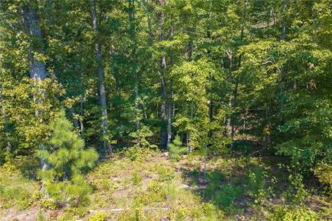 Lot 31 Freestone Street Talking Rock GA 30175