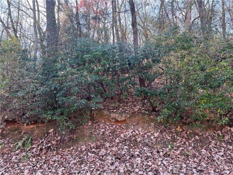 4412 Bee Tree Ridge Drive Jasper GA 30143