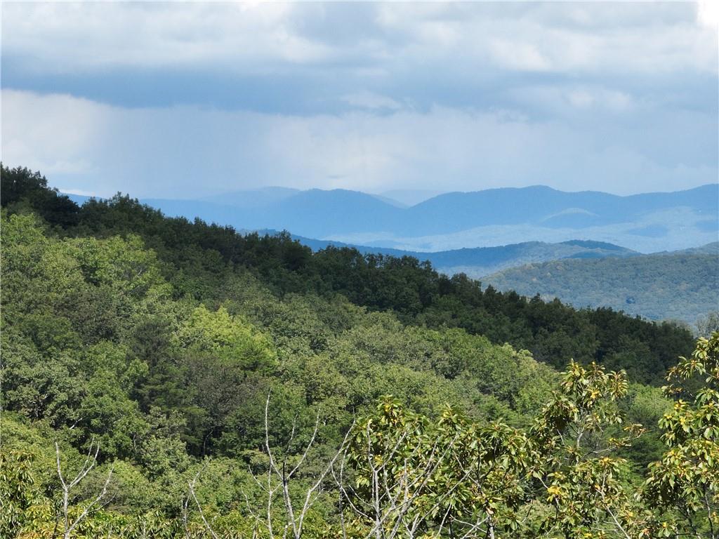 234 Stone Cliff Drive Ellijay GA 30536