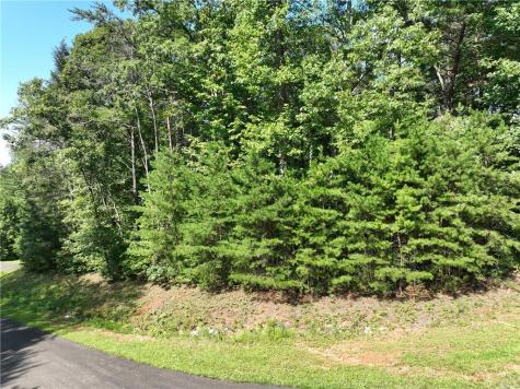 142R Autumn Fern Lane Ellijay GA 30536