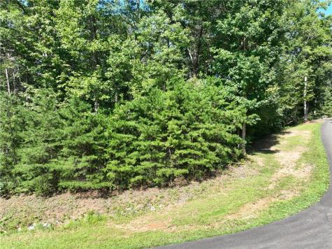142R Autumn Fern Lane Ellijay GA 30536